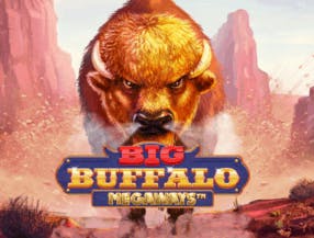 game logo by Skywind Group on great-slots.eu.com